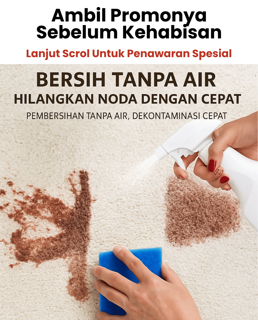 Pembersih Sofa 2